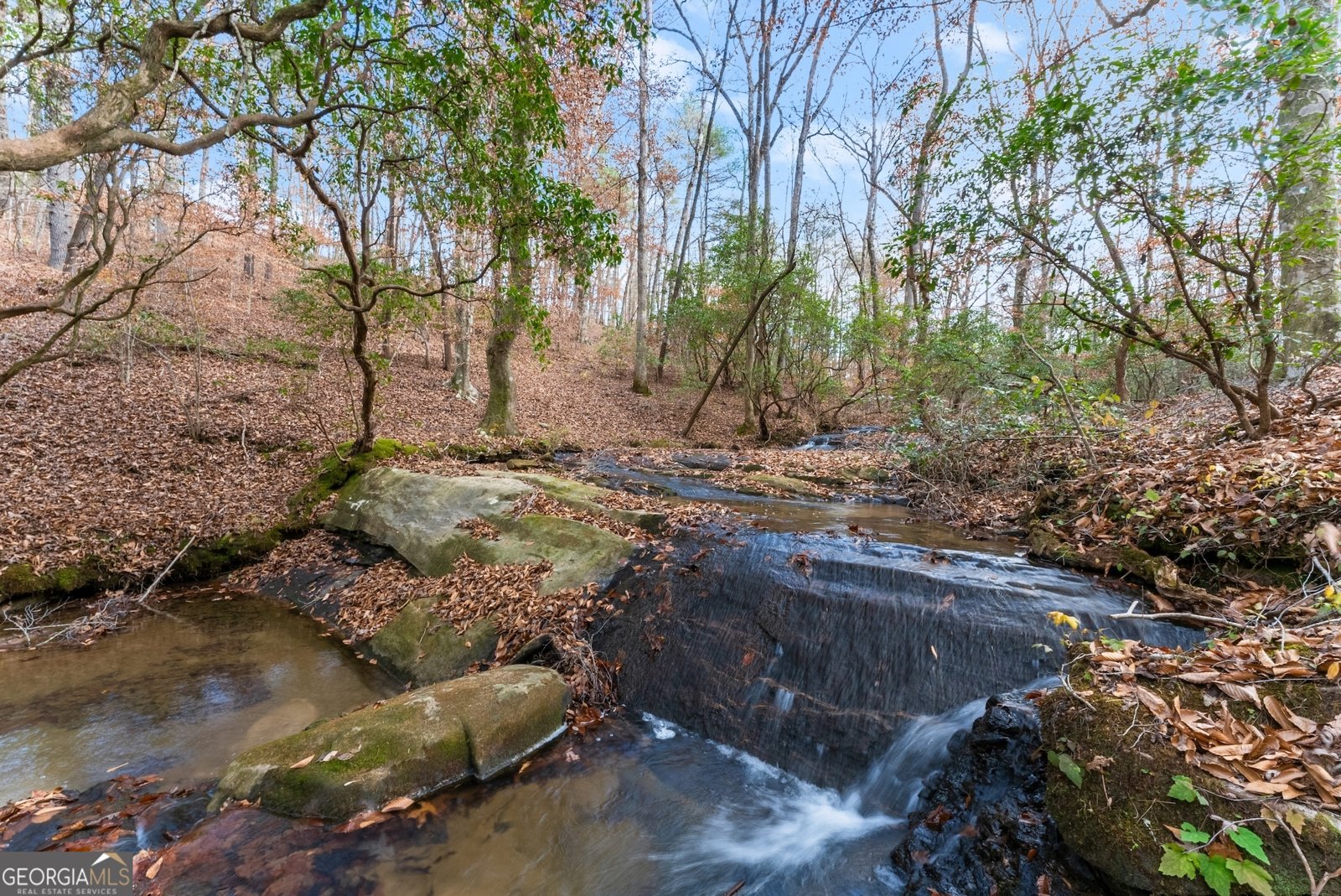 147 Jess Hunt W 60+ Acres Road Cleveland - 69