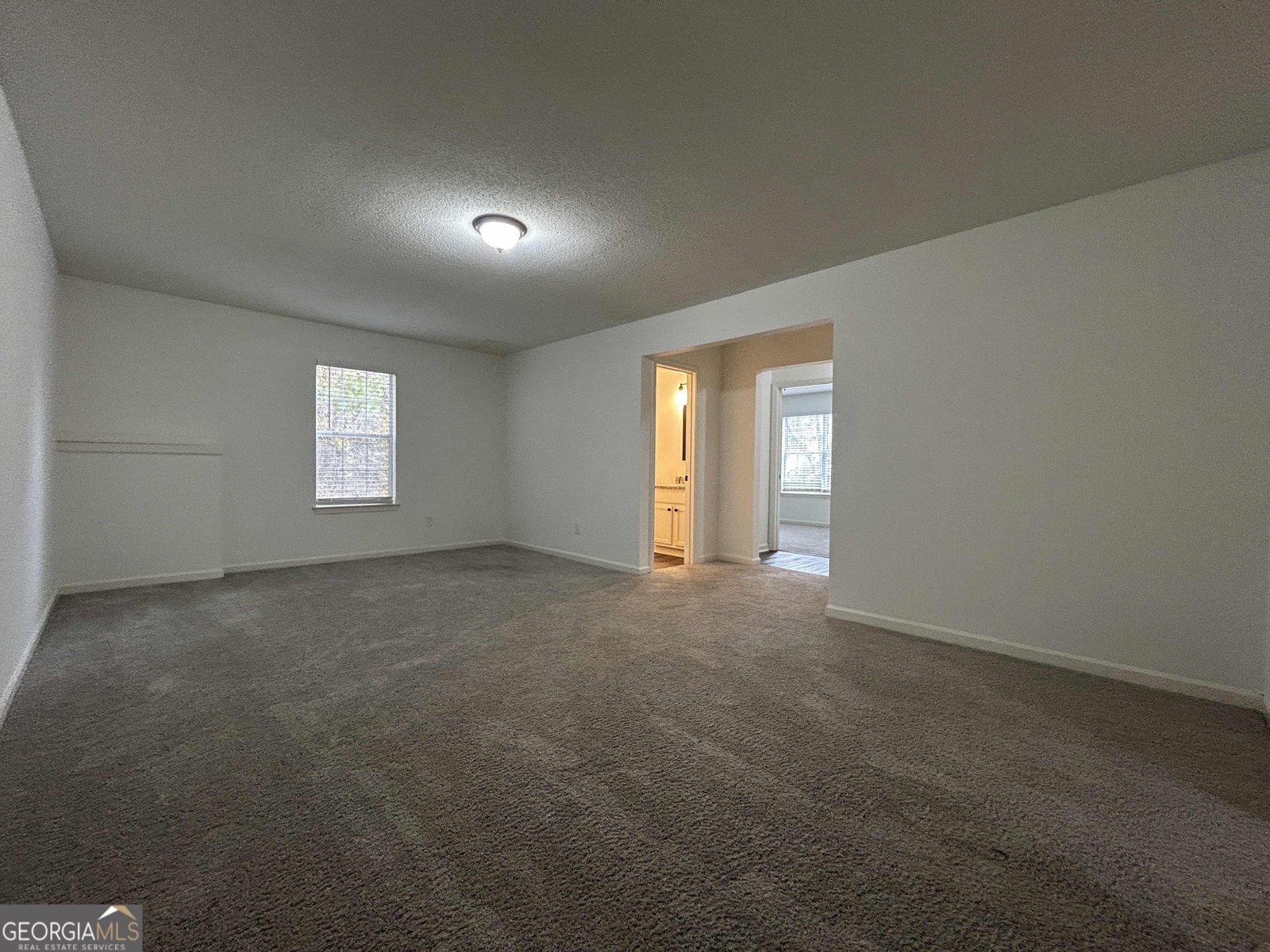 3136 Lower Creek Drive Douglasville - 12