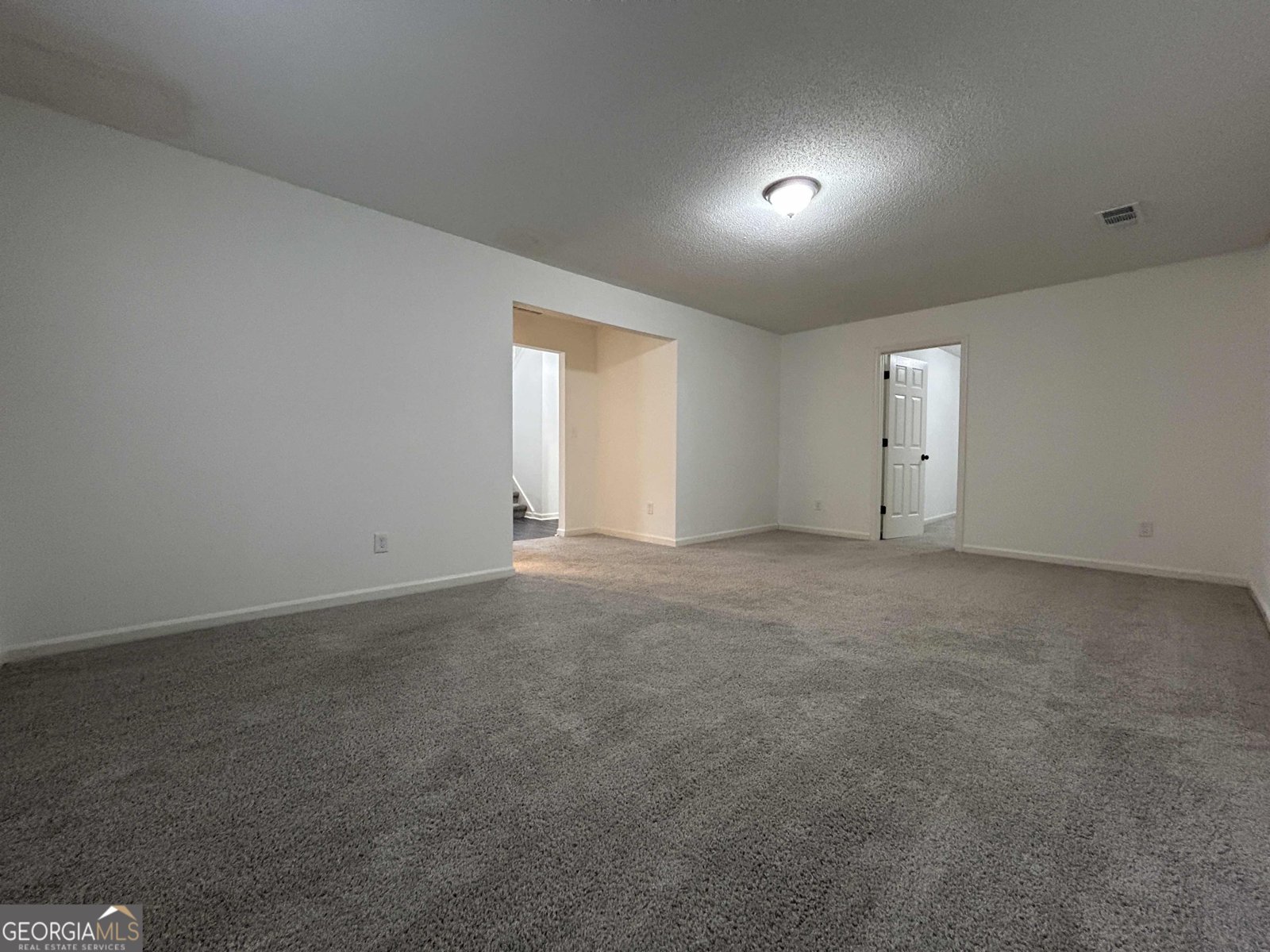 3136 Lower Creek Drive Douglasville - 13