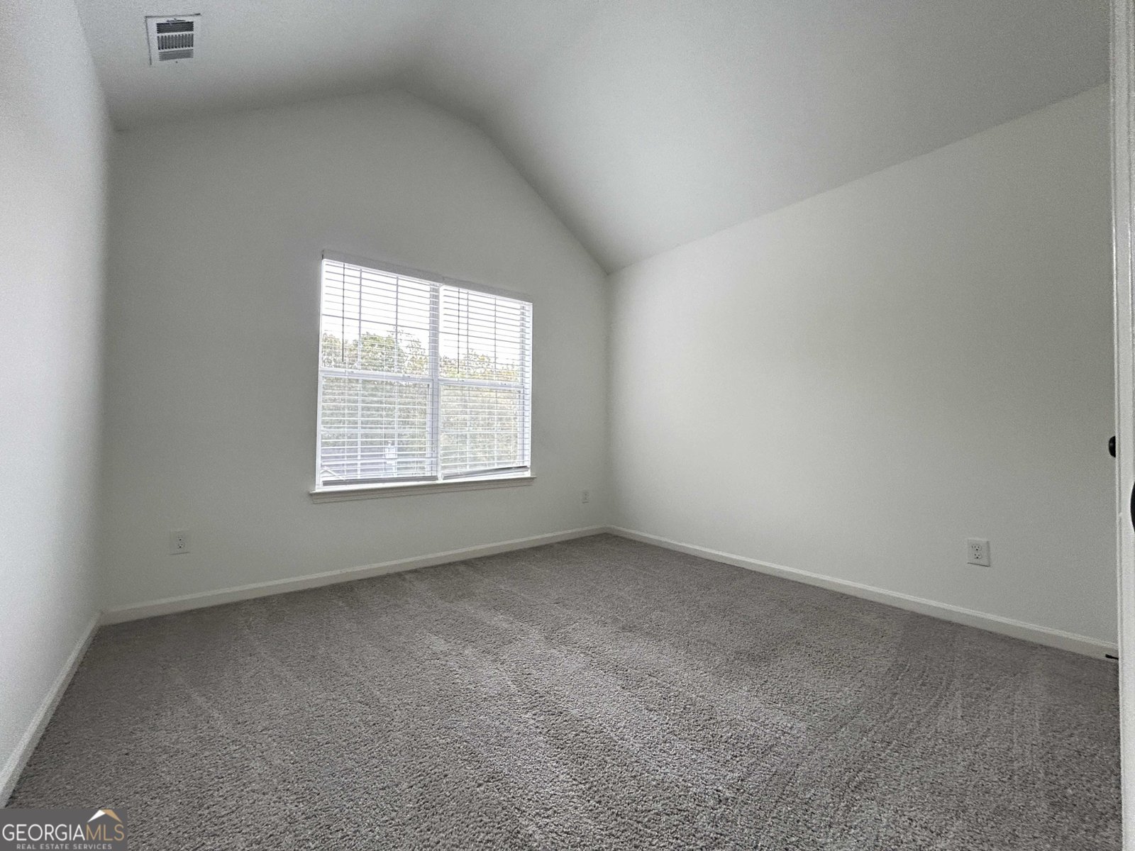 3136 Lower Creek Drive Douglasville - 14