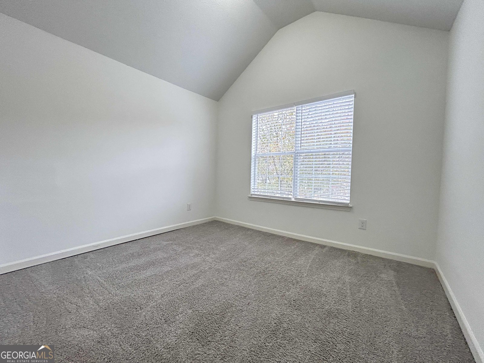 3136 Lower Creek Drive Douglasville - 15