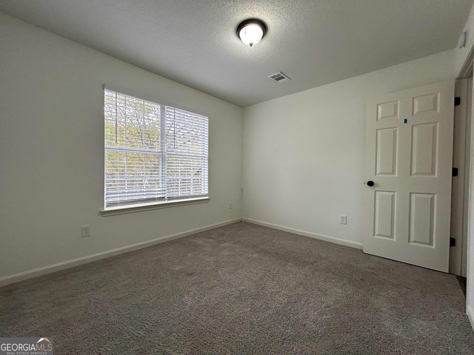 3136 Lower Creek Drive Douglasville - 16