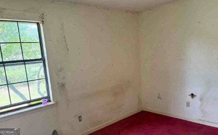 1502 Hall Street Bainbridge - 15