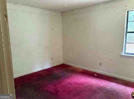 1502 Hall Street Bainbridge - 19