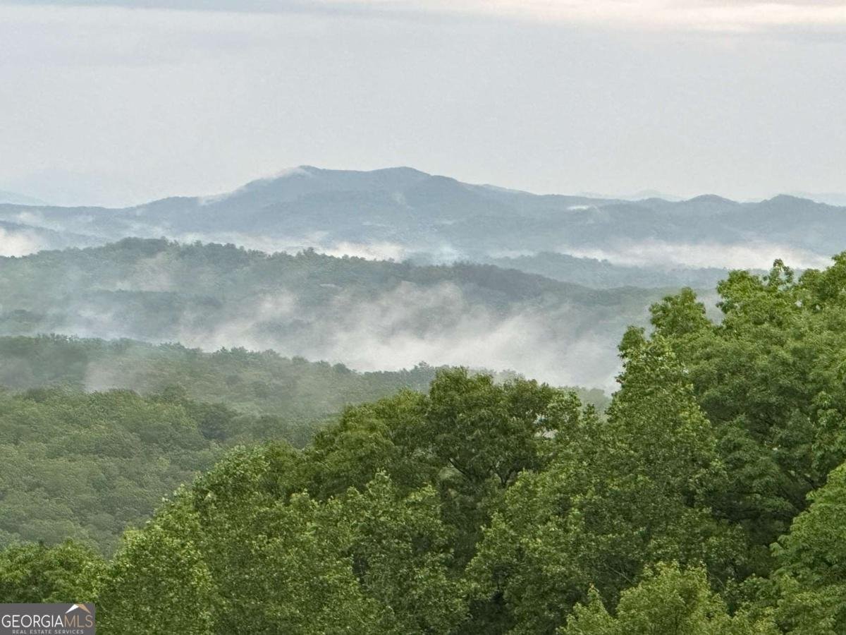 218 Chickadee Drive Blue Ridge - 3