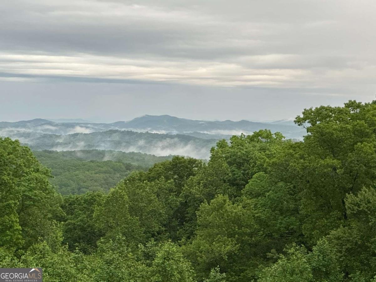 218 Chickadee Drive Blue Ridge - 77