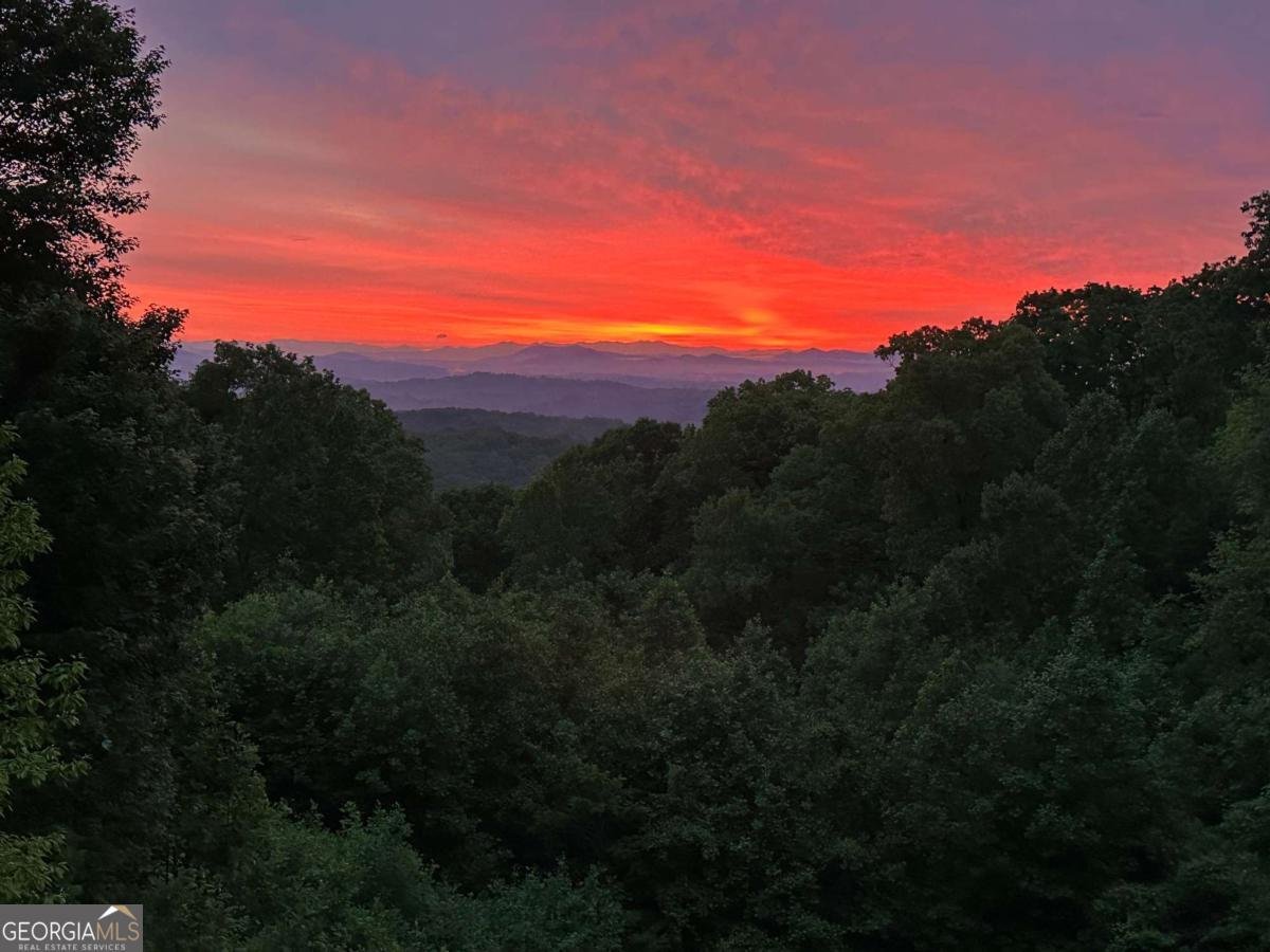 218 Chickadee Drive Blue Ridge - 78