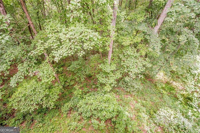 213 Moonshine Hollow Blue Ridge - 33