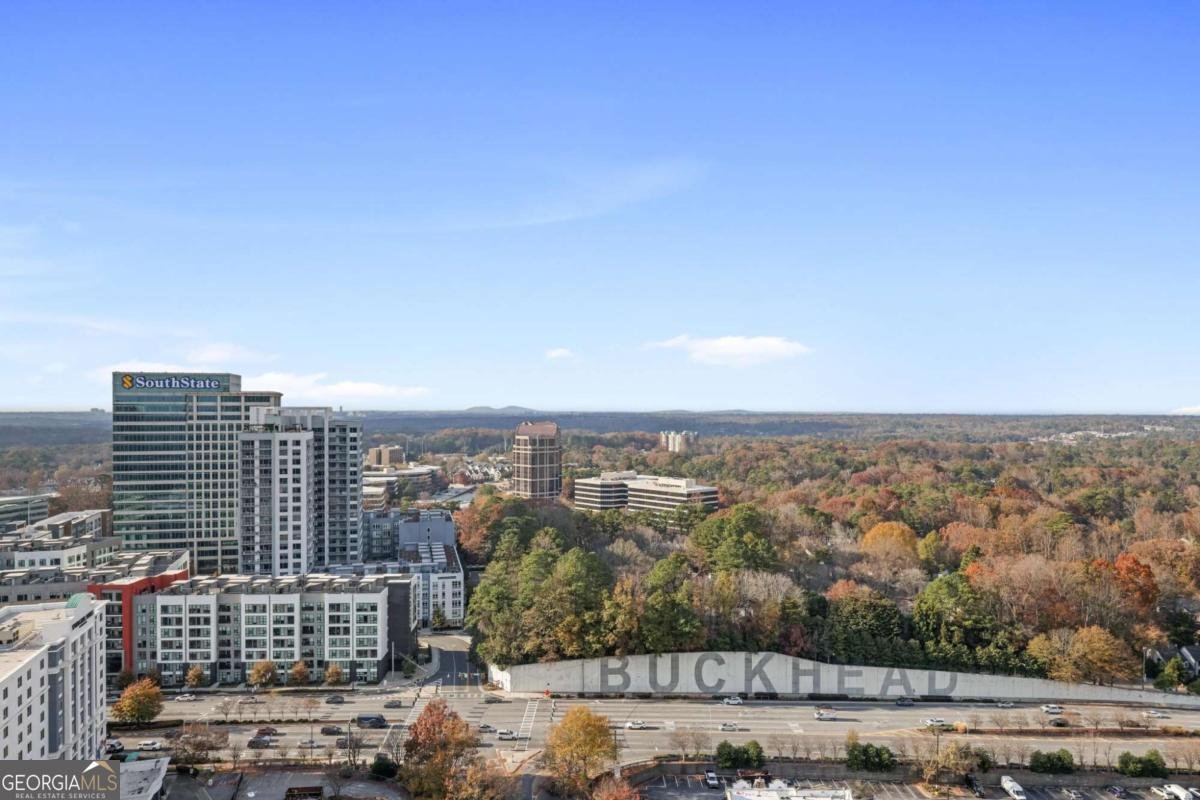 3338 Peachtree Road Atlanta - 26