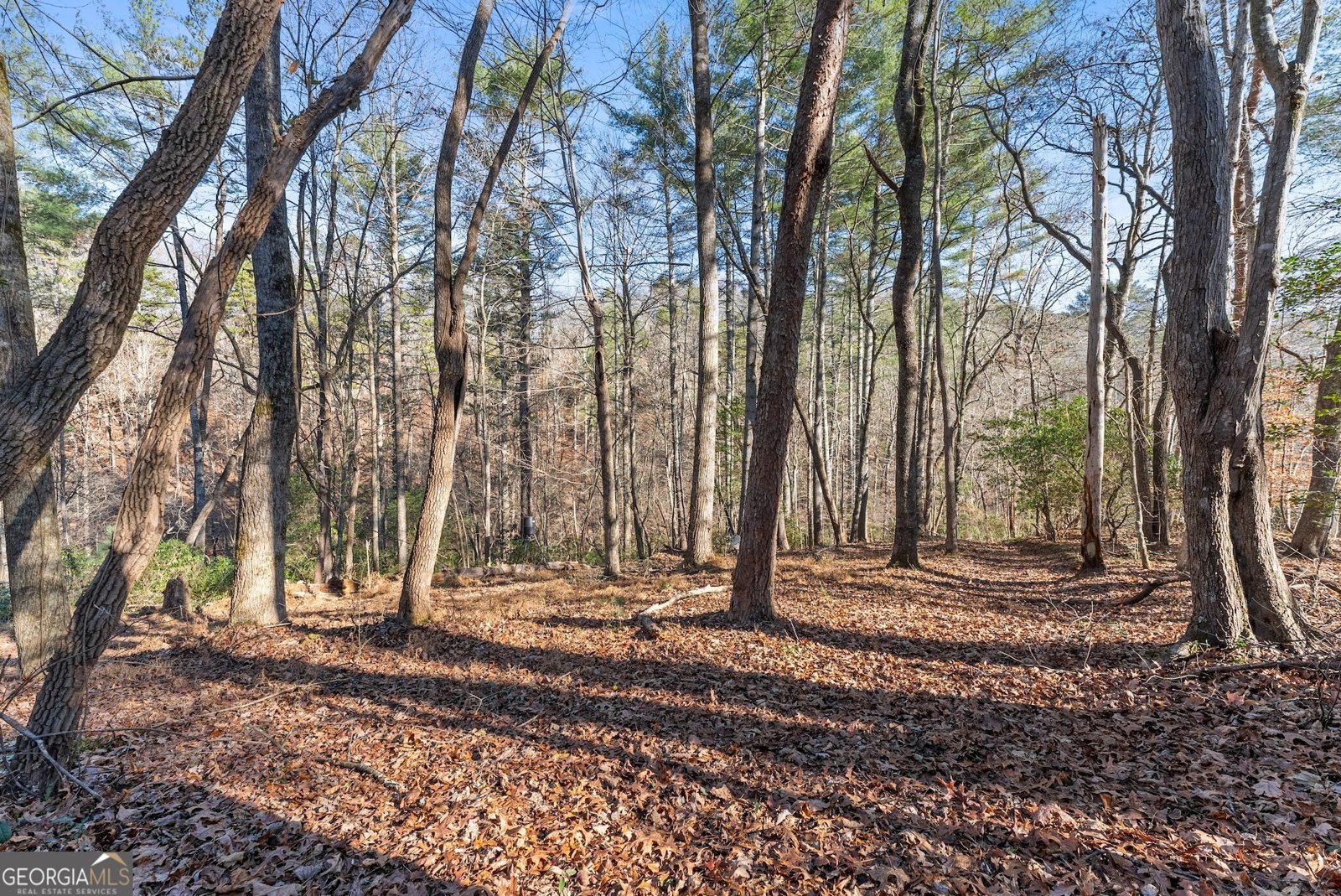 2446 Dean Mountain Road Cleveland - 40