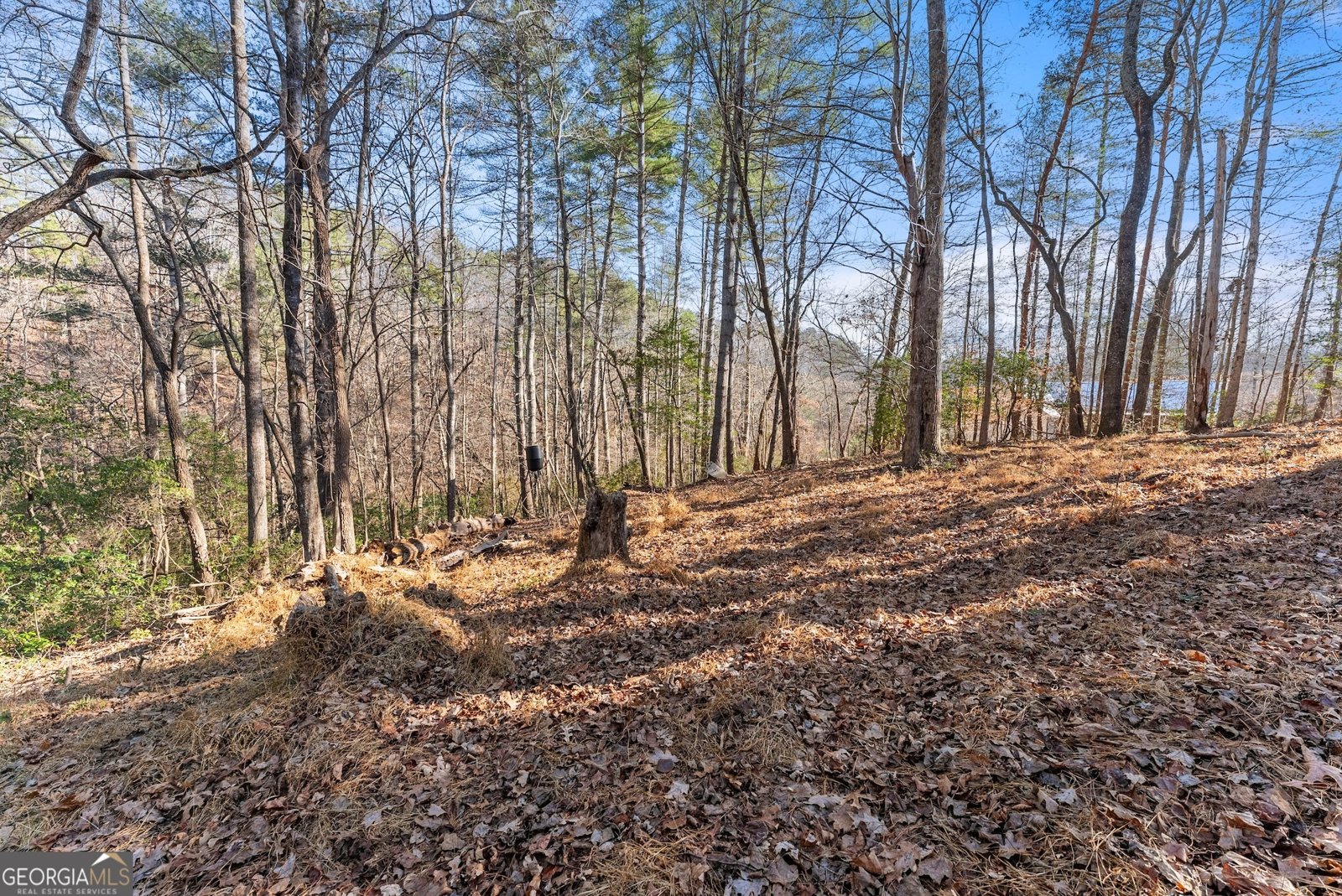 2446 Dean Mountain Road Cleveland - 41