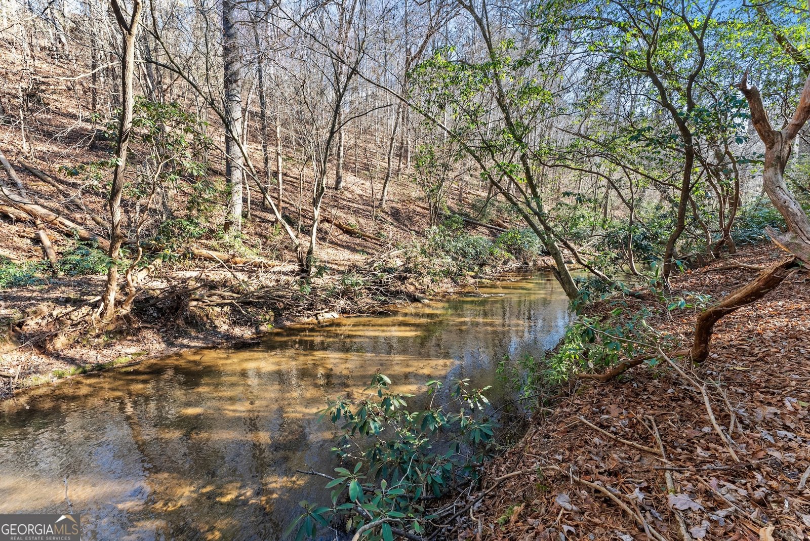 2446 Dean Mountain Road Cleveland - 42