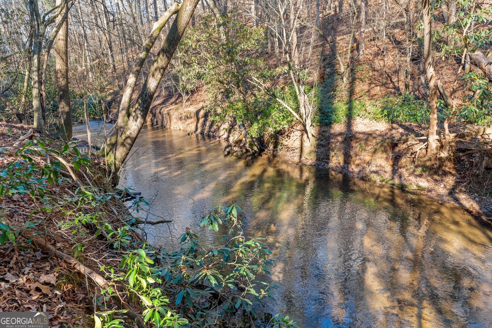 2446 Dean Mountain Road Cleveland - 44