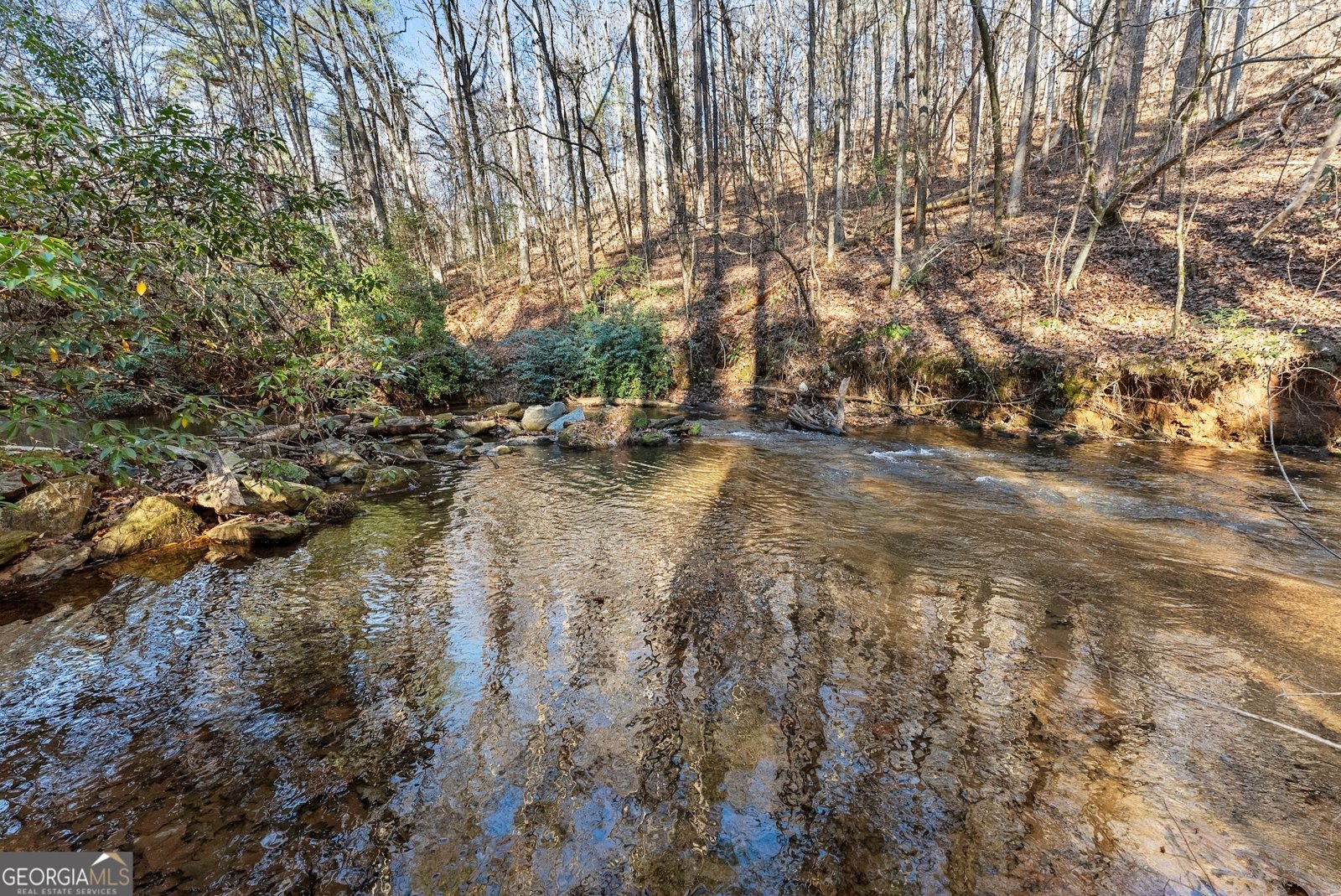 2446 Dean Mountain Road Cleveland - 45