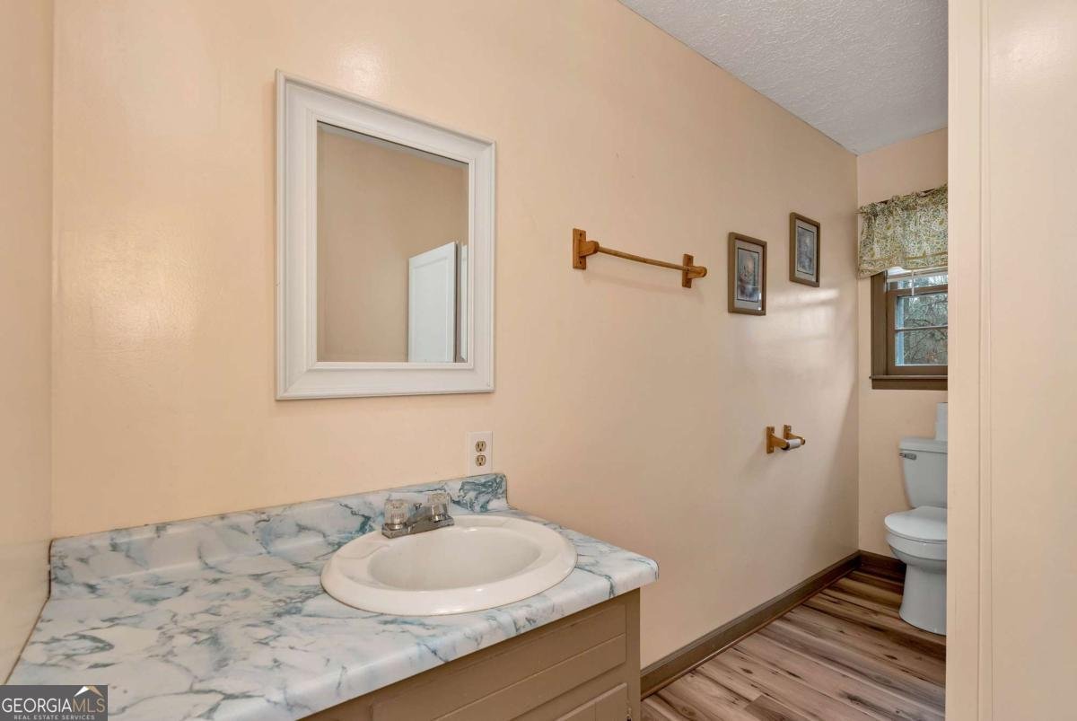 147 Twin Peaks Drive Demorest - 18