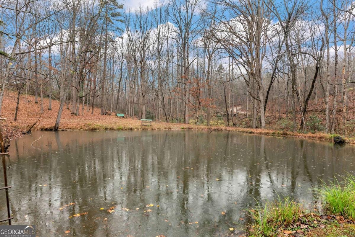 147 Twin Peaks Drive Demorest - 47