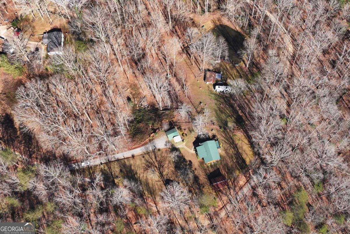 147 Twin Peaks Drive Demorest - 73