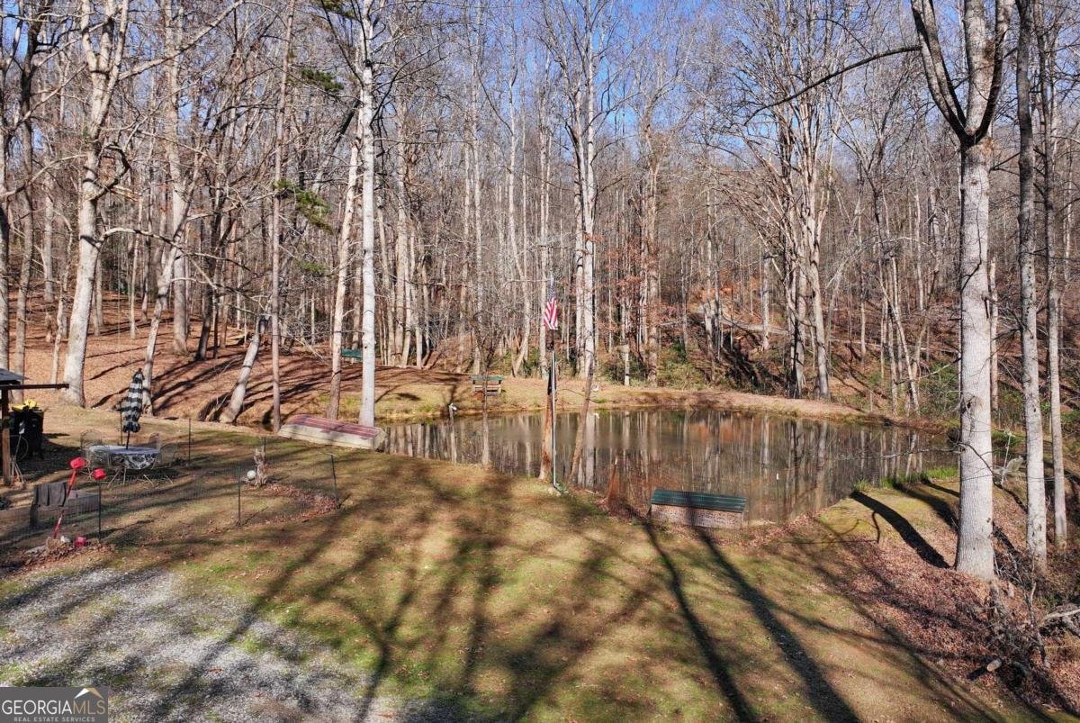 147 Twin Peaks Drive Demorest - 77