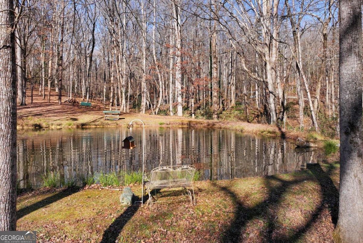 147 Twin Peaks Drive Demorest - 89