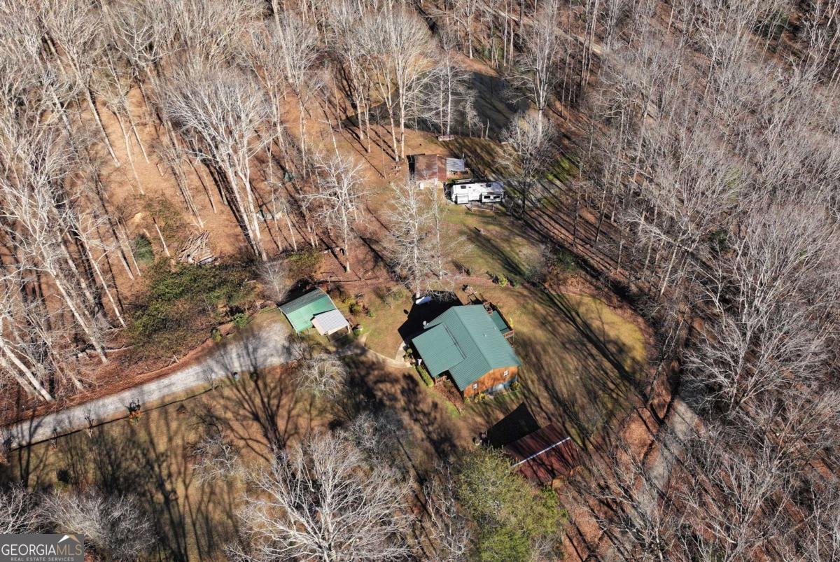 147 Twin Peaks Drive Demorest - 91