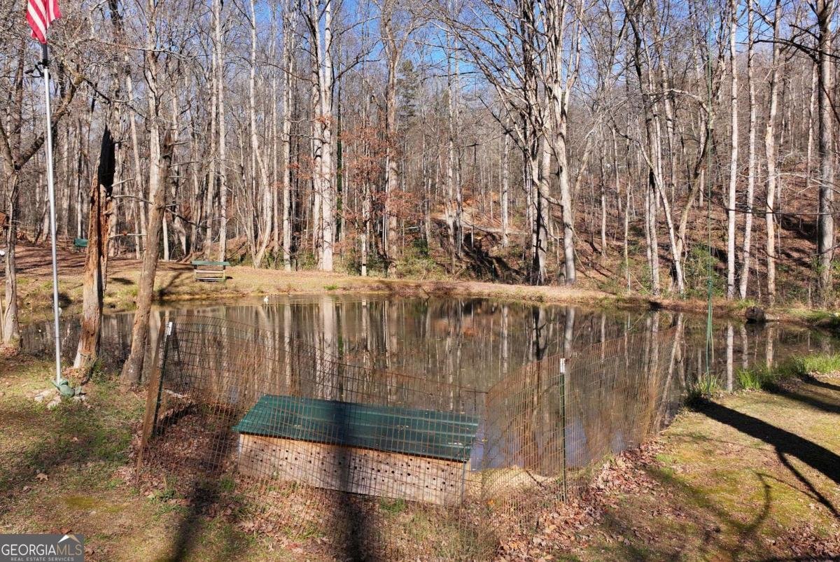 147 Twin Peaks Drive Demorest - 93