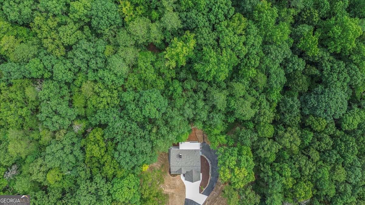 629 Butterworth Road Canton - 52