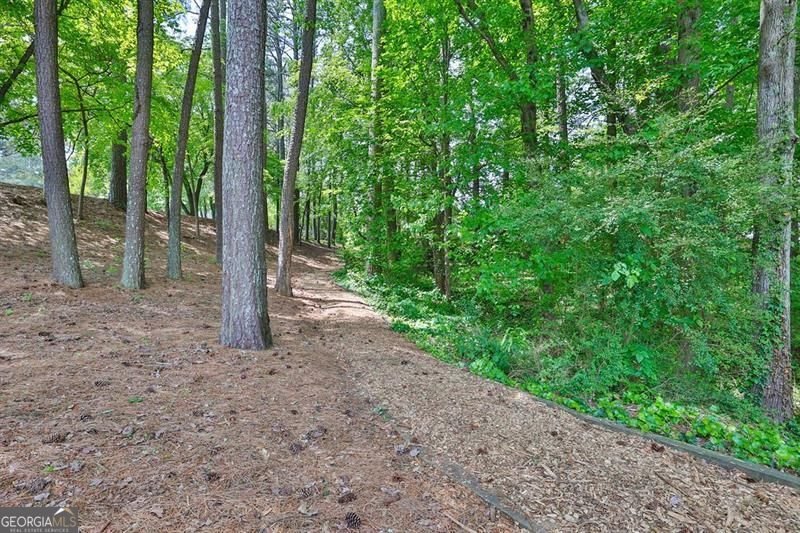 3703 TULIP TREE Marietta - 38