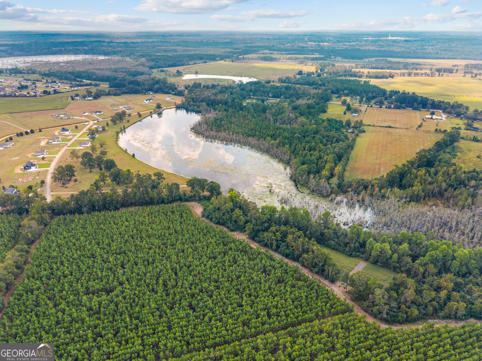 2461 Windemere Drive Statesboro - 29