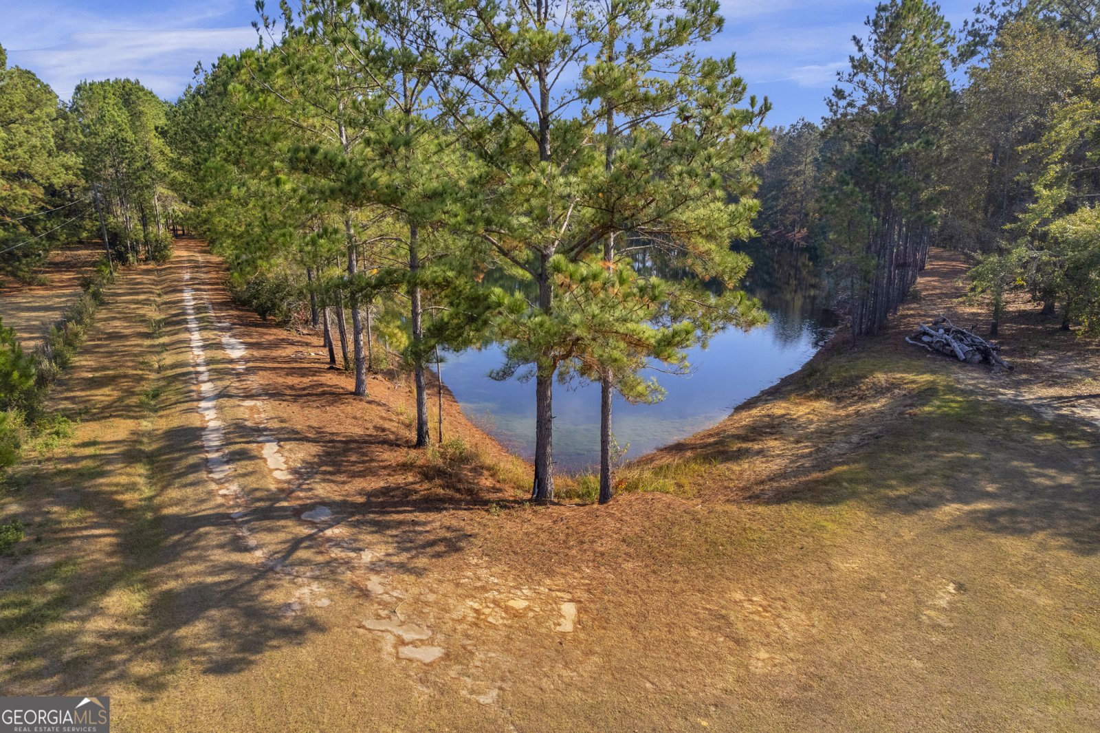 1141 Barrett Cemetery Road Ludowici - 28