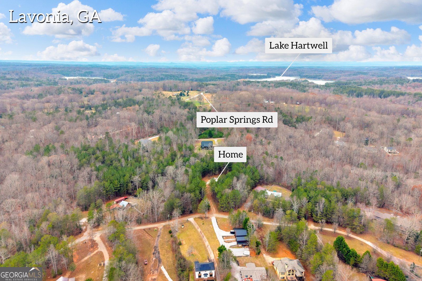 473 Chandler Place Drive Lavonia - 58