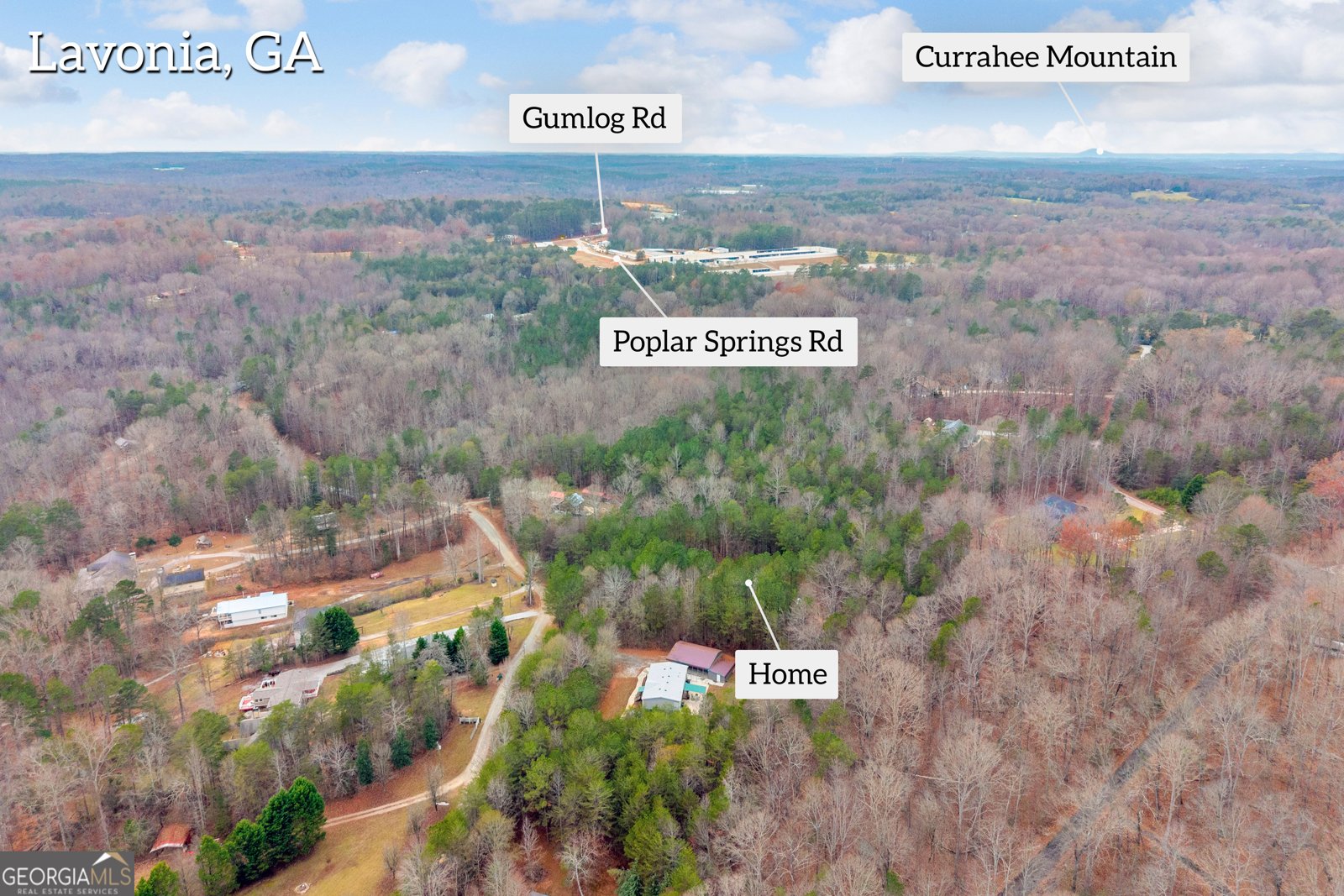 473 Chandler Place Drive Lavonia - 61