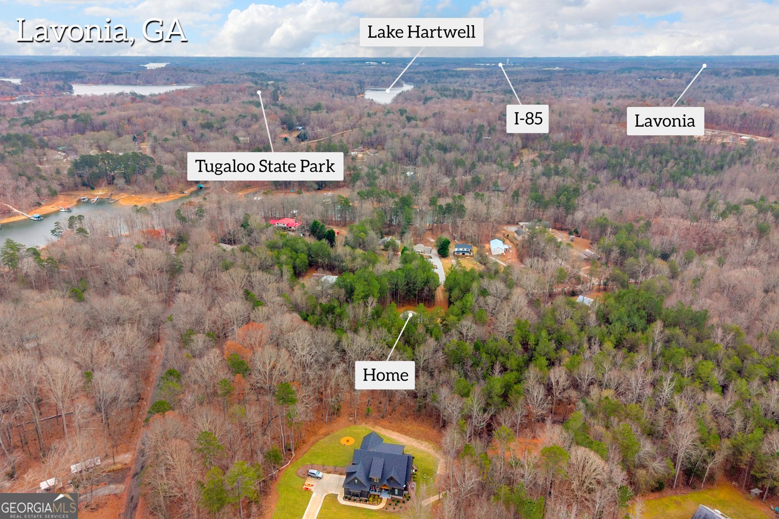 473 Chandler Place Drive Lavonia - 64