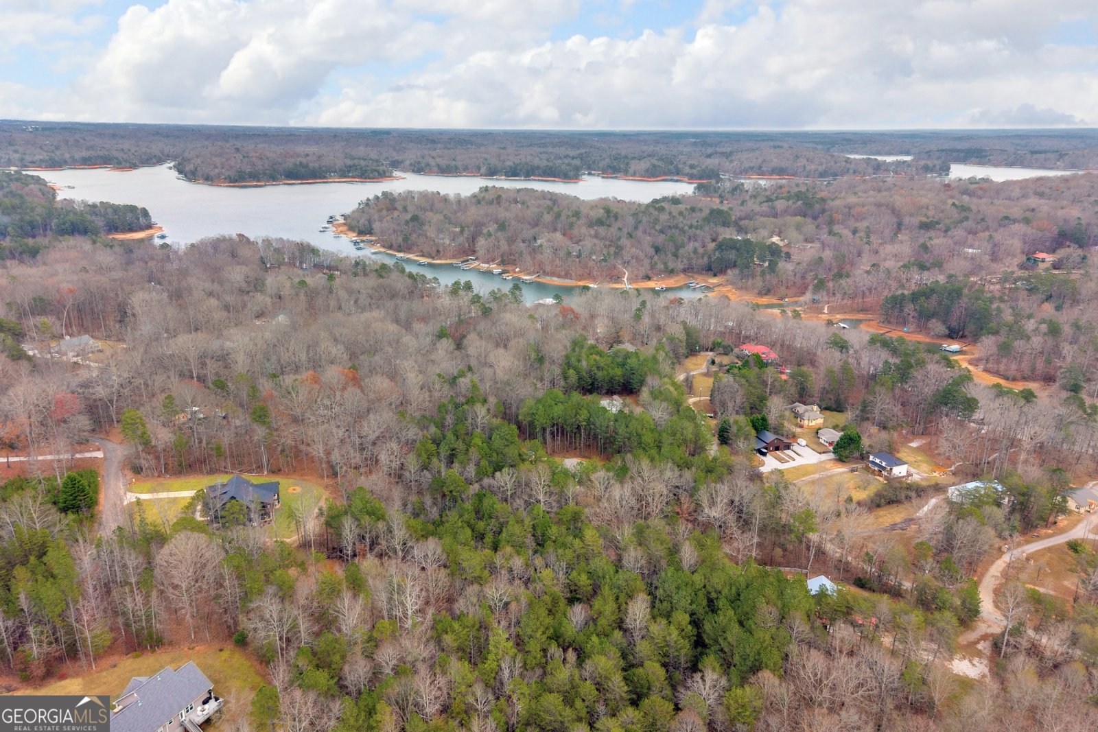 473 Chandler Place Drive Lavonia - 66