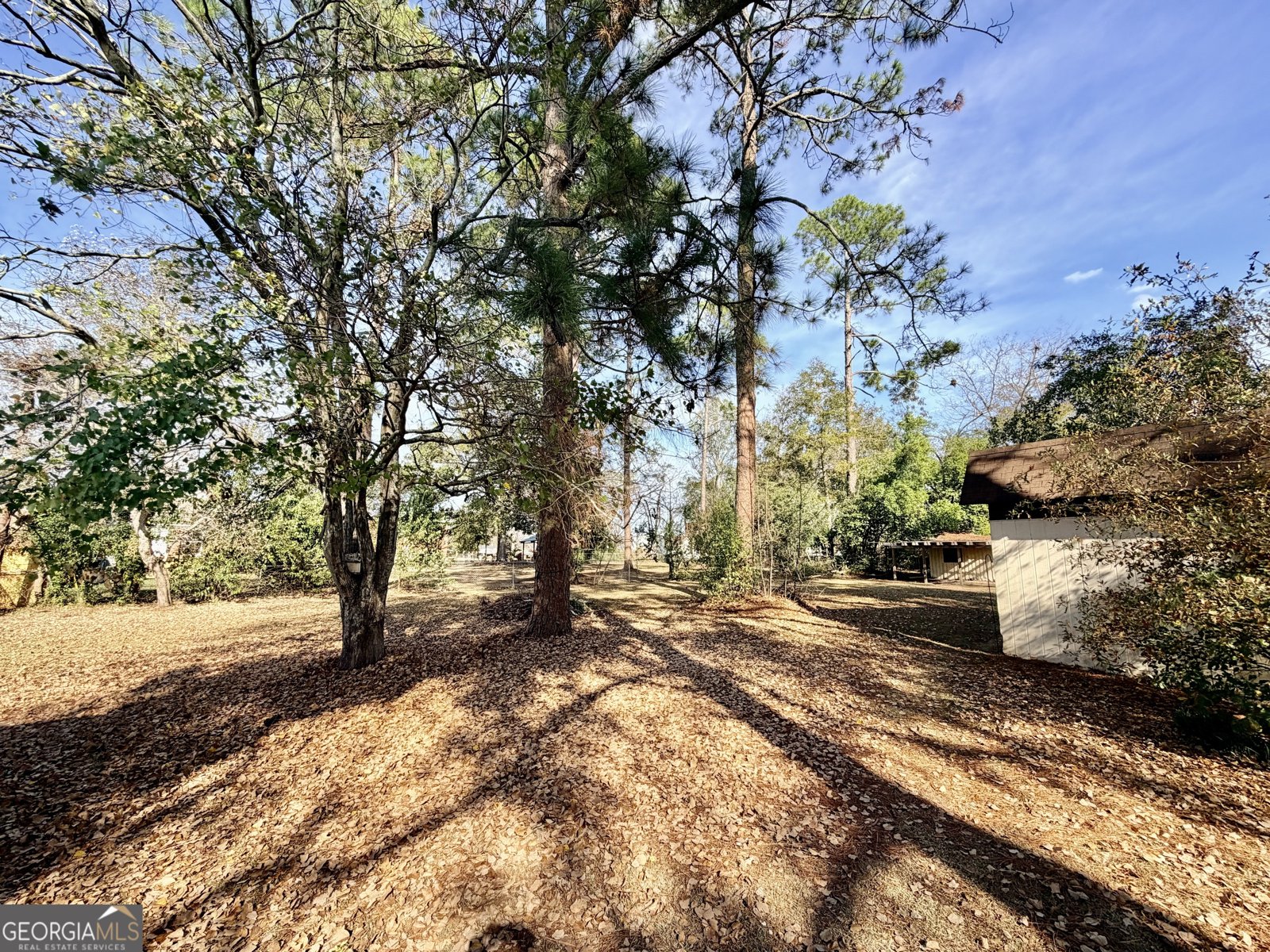 221 College Street Metter - 21