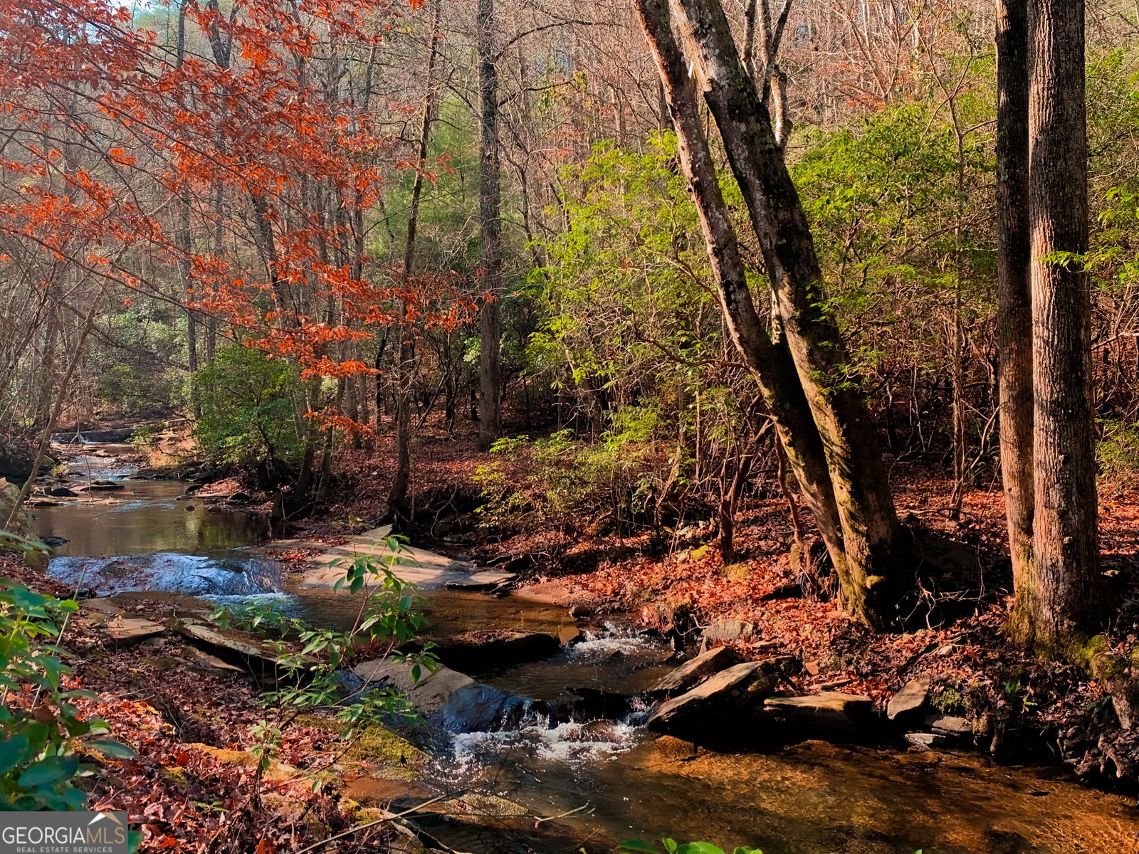 2468 Twisted Oak Road Talking Rock - 3