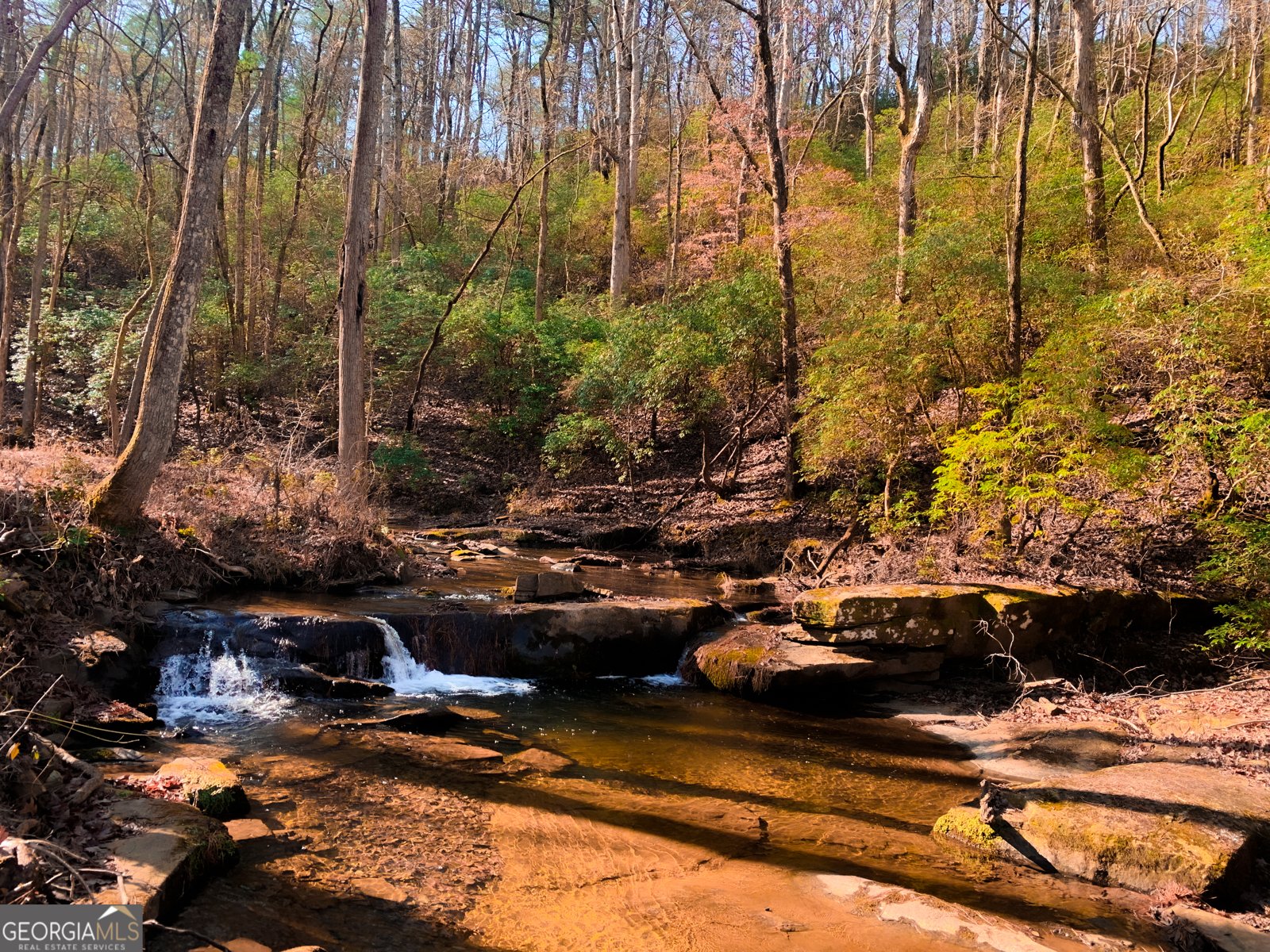 2468 Twisted Oak Road Talking Rock - 4