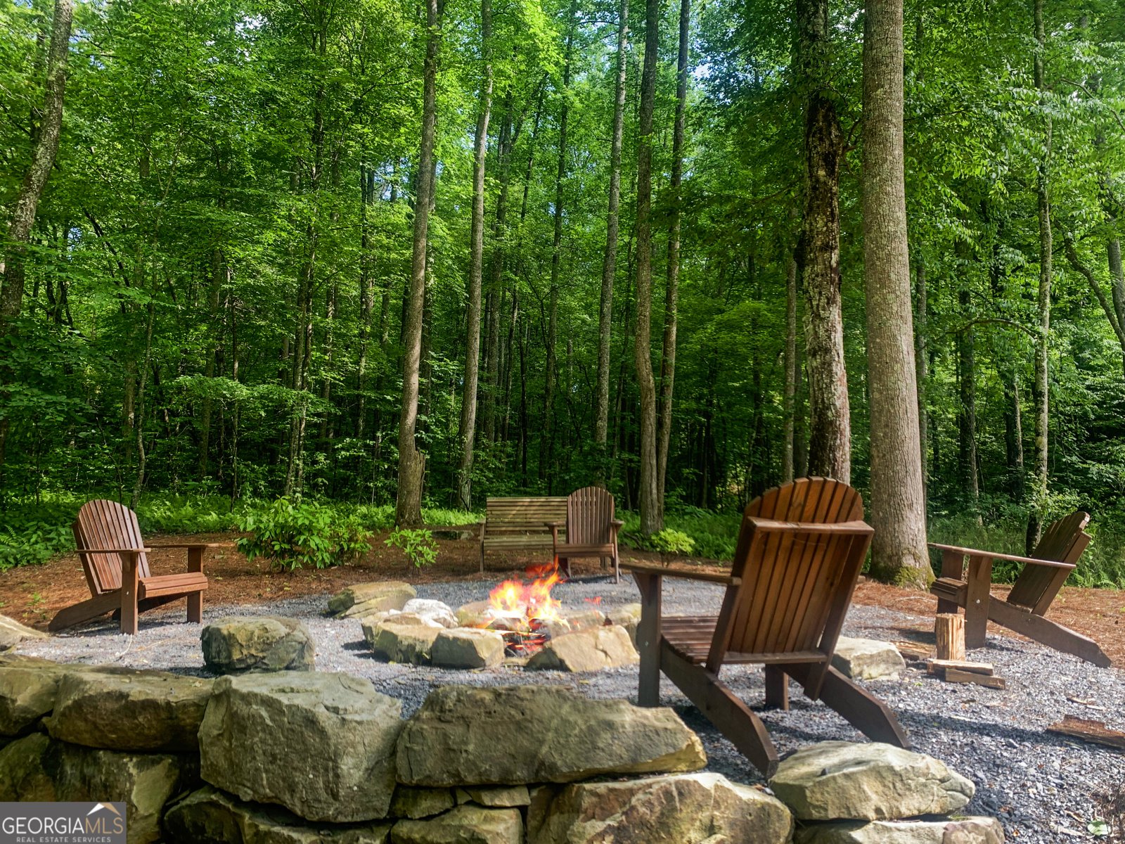 2468 Twisted Oak Road Talking Rock - 58