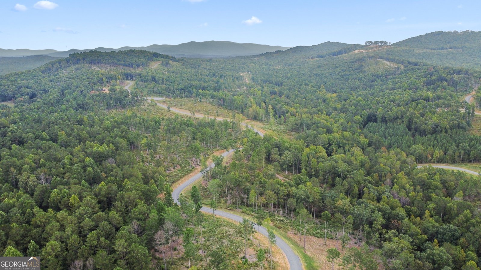 2468 Twisted Oak Road Talking Rock - 64