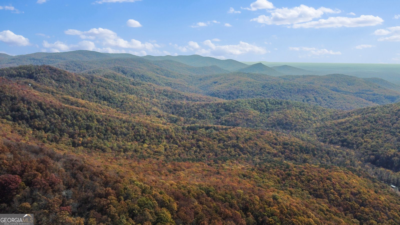 2468 Twisted Oak Road Talking Rock - 65