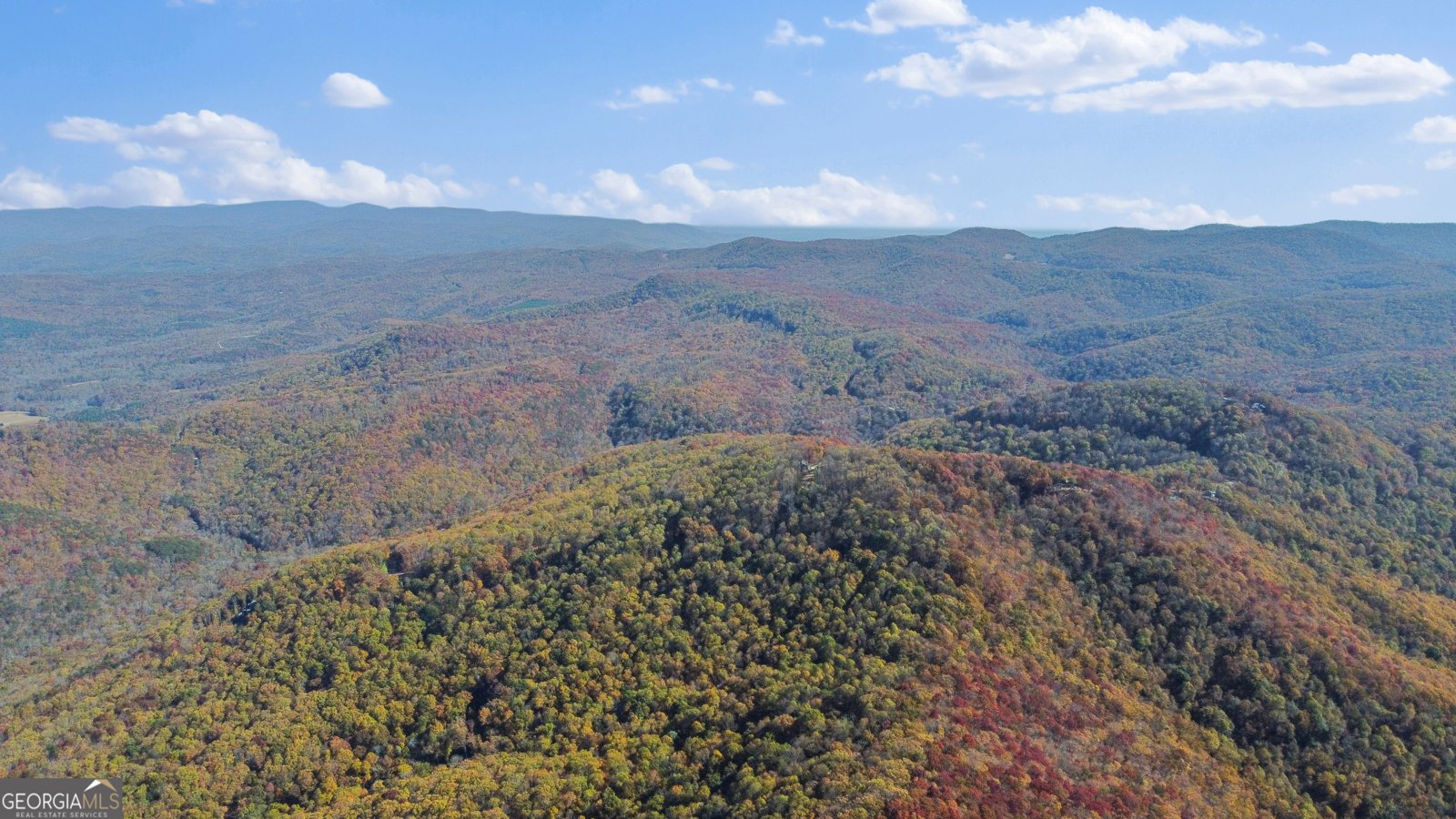 2468 Twisted Oak Road Talking Rock - 66