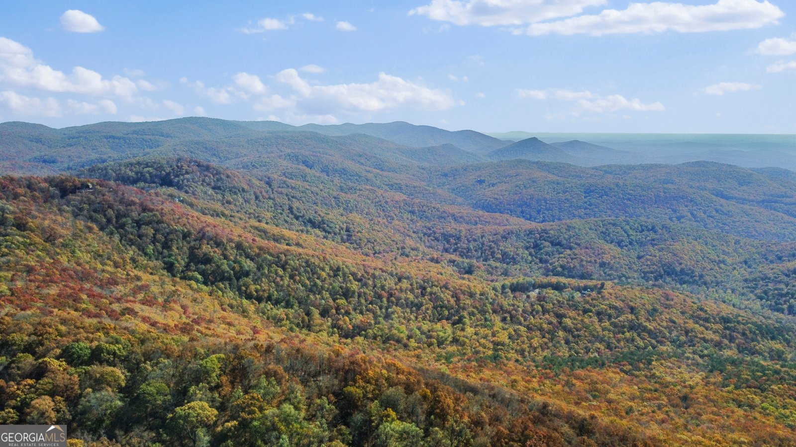 2468 Twisted Oak Road Talking Rock - 67