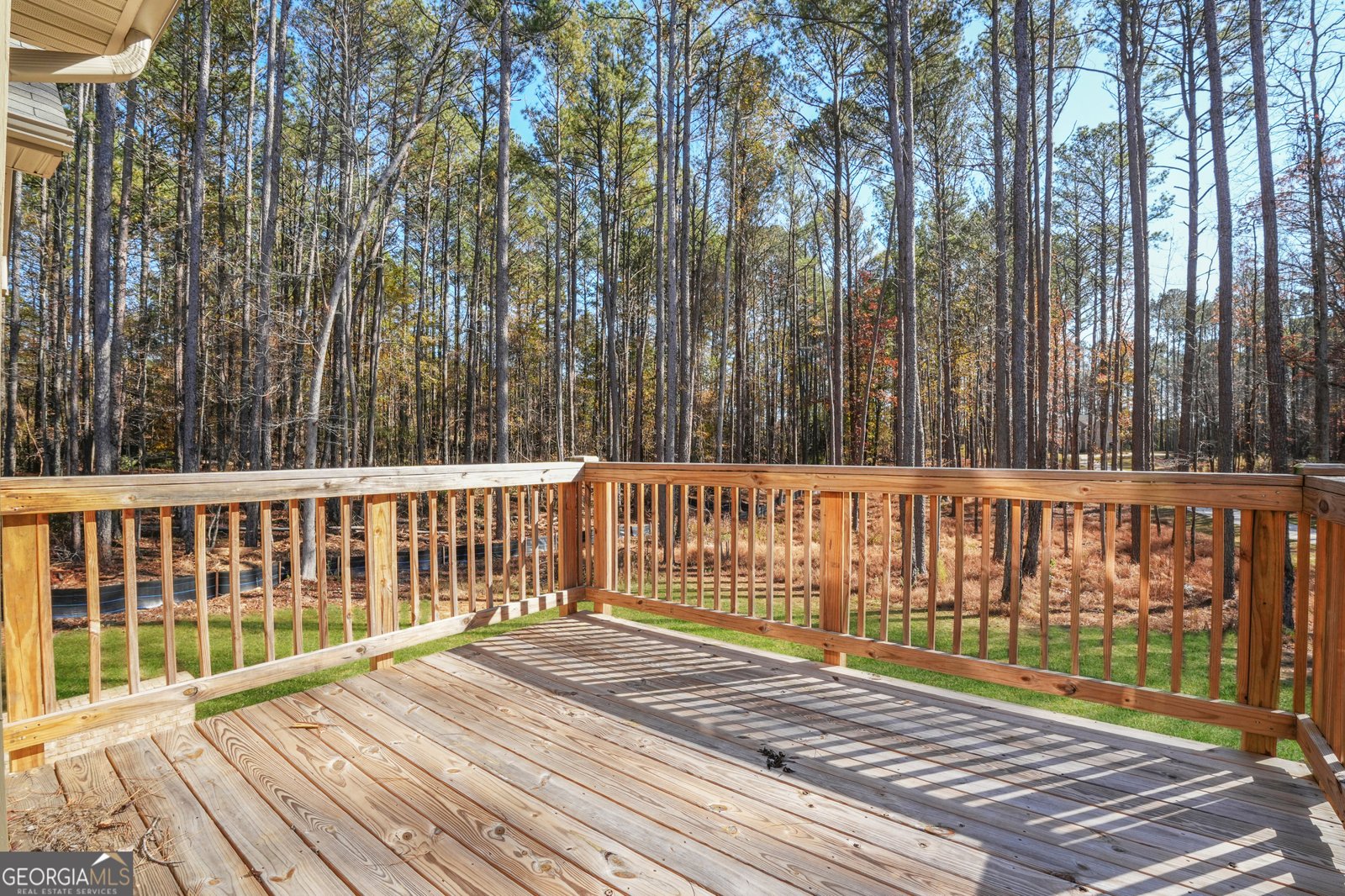 125 Honey Creek Road Conyers - 28