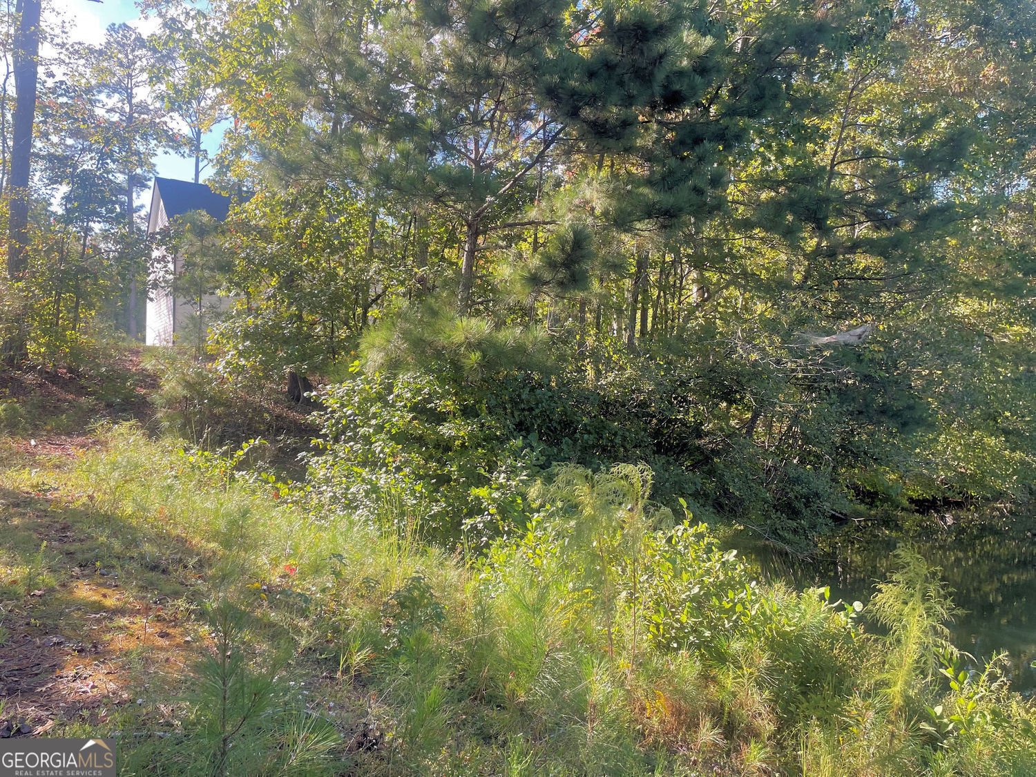 115 Haven Brook Way Douglasville - 39