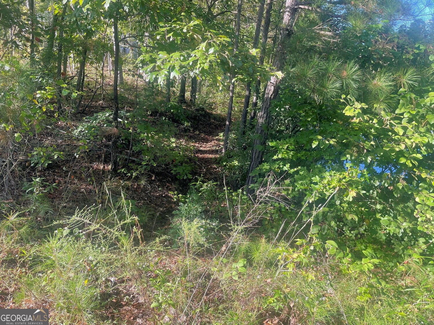 115 Haven Brook Way Douglasville - 40