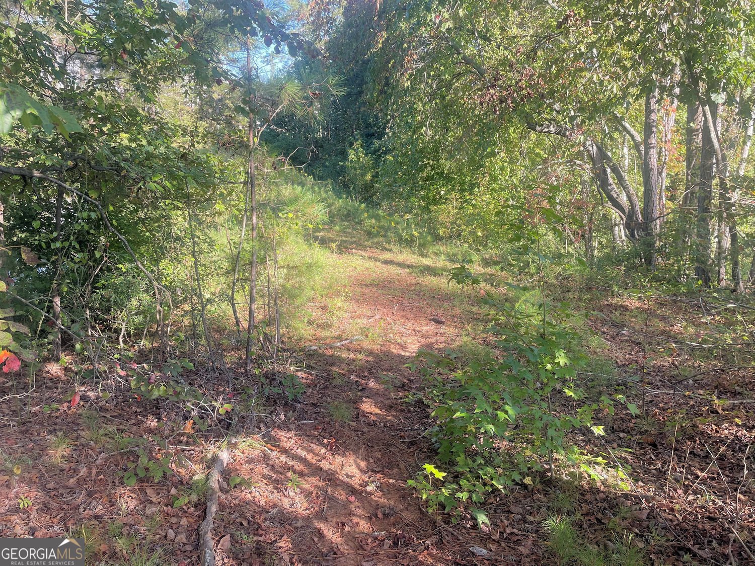 115 Haven Brook Way Douglasville - 41