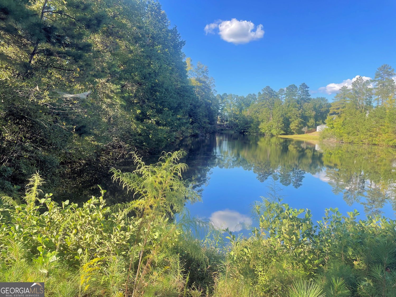 115 Haven Brook Way Douglasville - 42