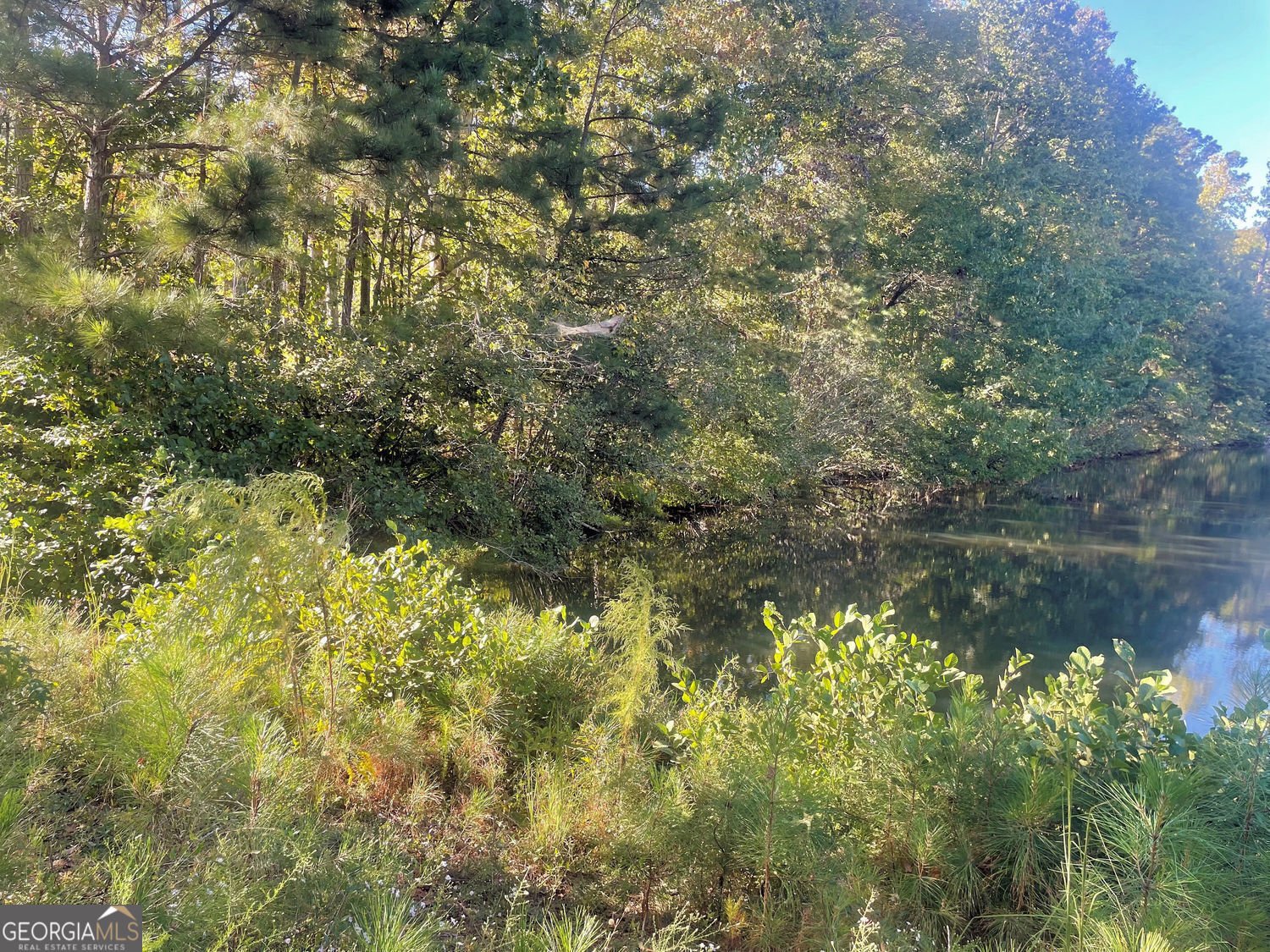 115 Haven Brook Way Douglasville - 43