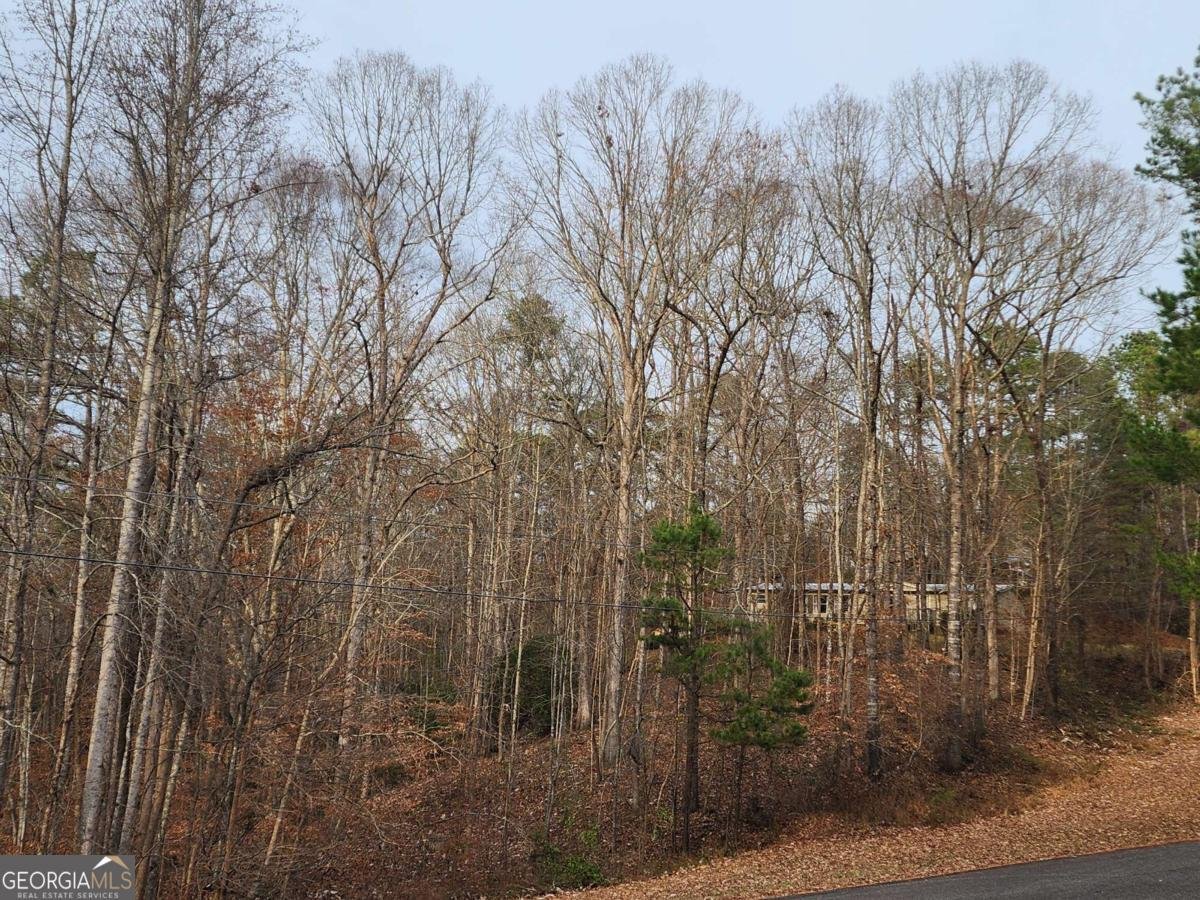 206 Ficklen Drive Canton - 17