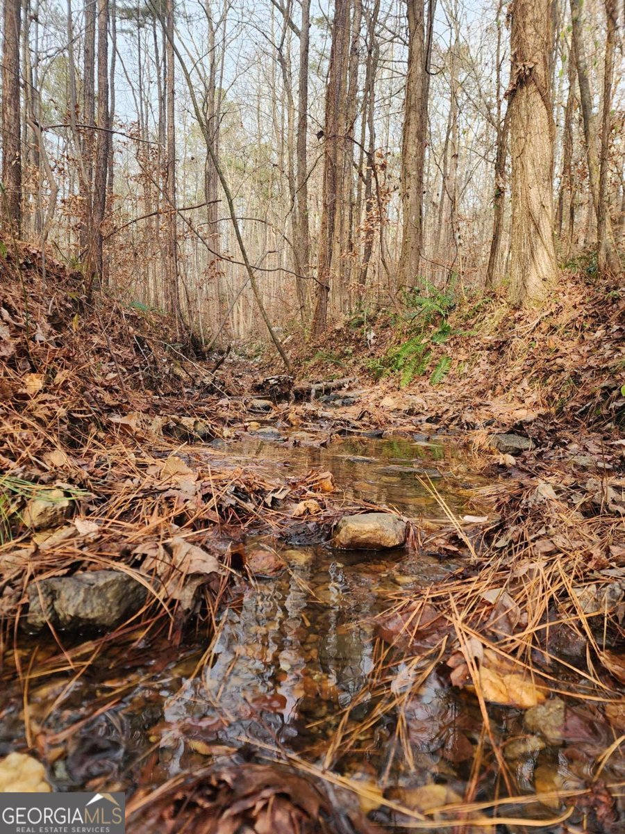 206 Ficklen Drive Canton - 18