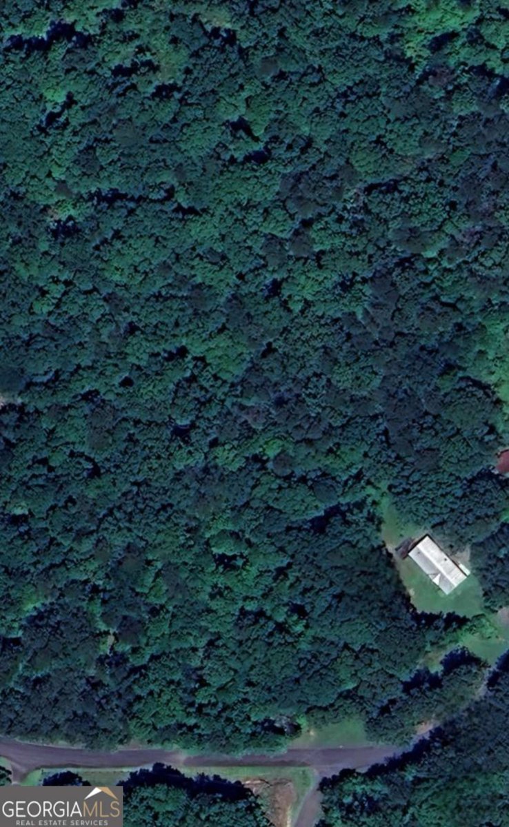 206 Ficklen Drive Canton - 19